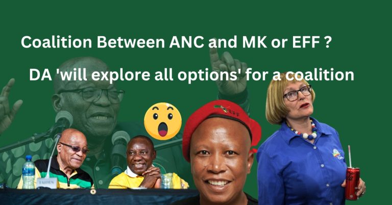 ANC coalition discussions , South Africa 2024 elections