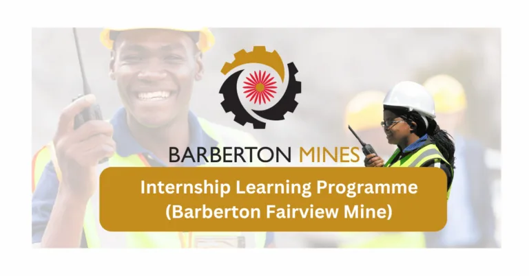 Internship Learning Programme (Barberton Fairview Mine) – 2024