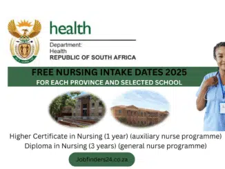 Students applying for the Department of Health free nursing intake 2026 at public nursing colleges in South Africa
