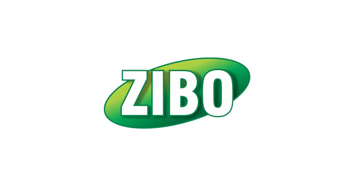 zibo vacancies